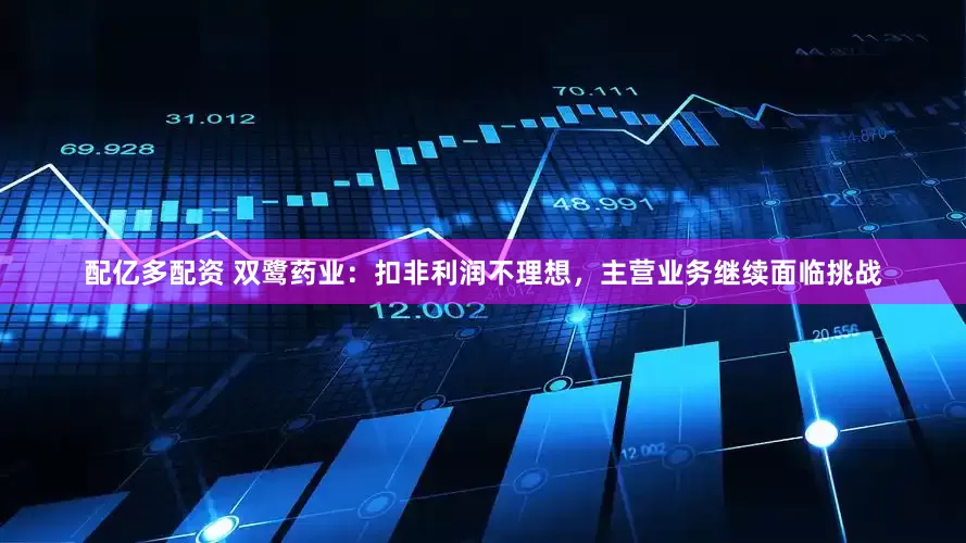 配亿多配资 双鹭药业：扣非利润不理想，主营业务继续面临挑战