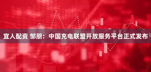 宜人配资 邹朋：中国充电联盟开放服务平台正式发布
